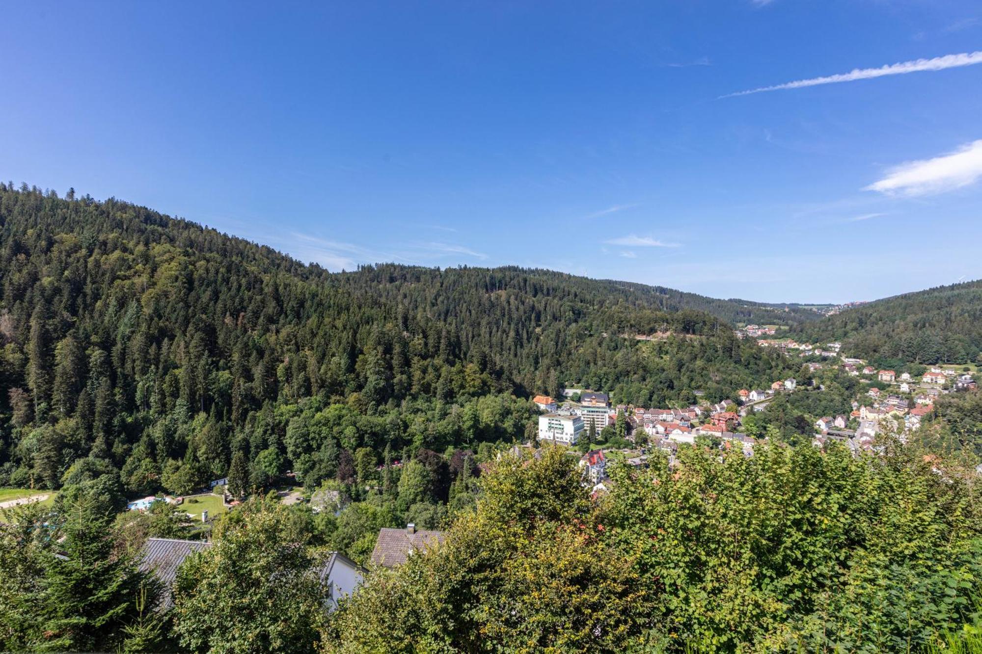 Triberg Blick Apartamento Triberg im Schwarzwald Exterior foto